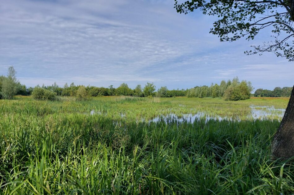 Empese en Tondense heide