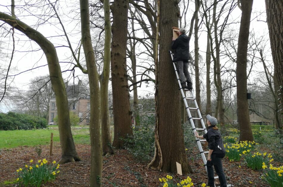 Een heerlijke frisse voorjaarsdag tussen de narcissen op buitenplaats Soeslo