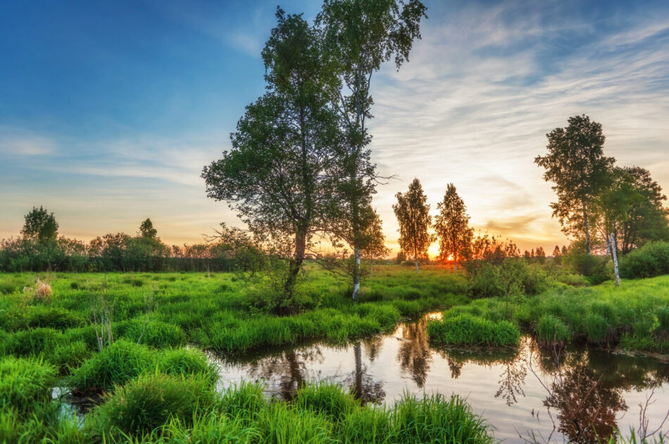 Nederland natuurrijker maken, daar doen we het voor!