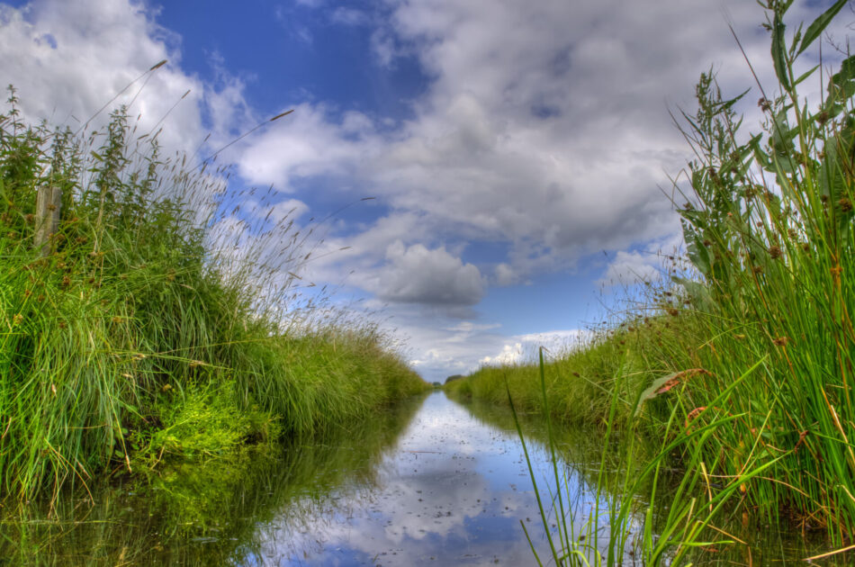 Nederland natuurrijker maken, daar doen we het voor!