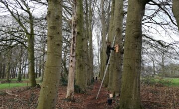 Ecogroen Foundation hangt 50 vleermuiskasten op